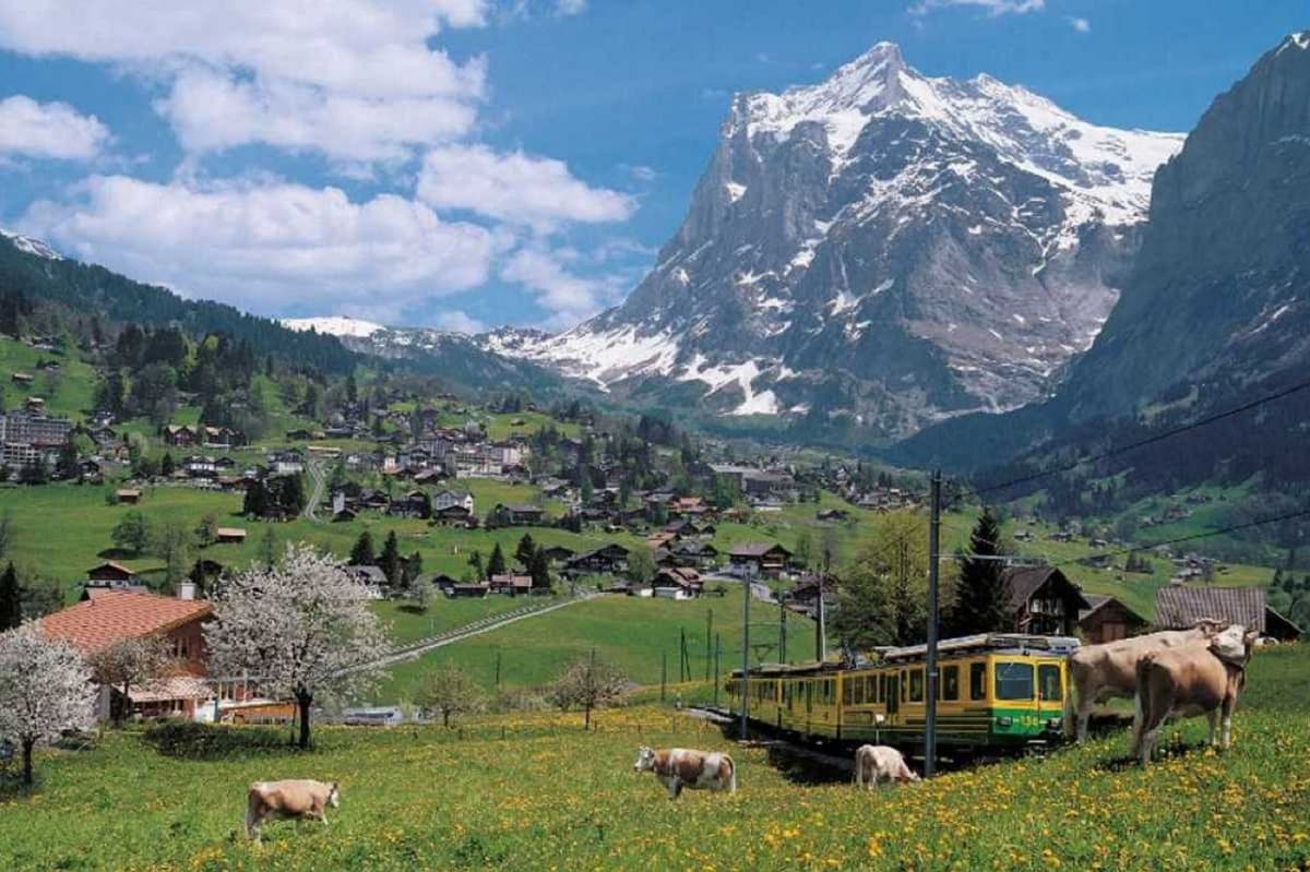 Grindelwald, Interlaken, and Lauterbrunnen Full-Day Tour