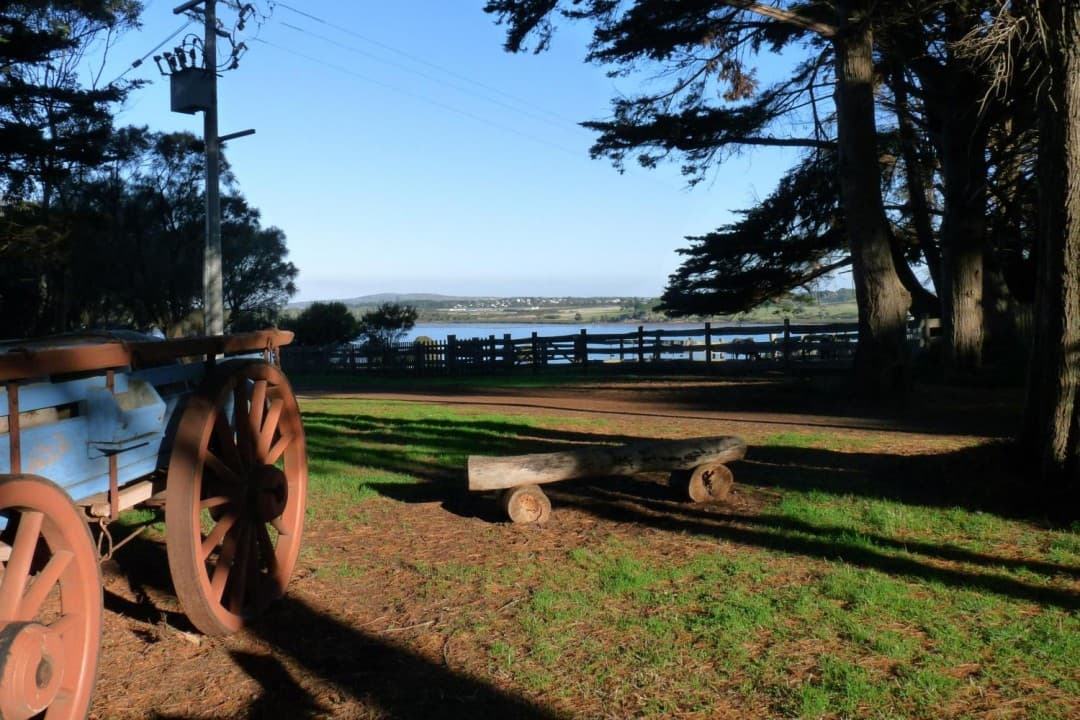 Phillip Island with Penguin Parade Eco Tour – photo 13