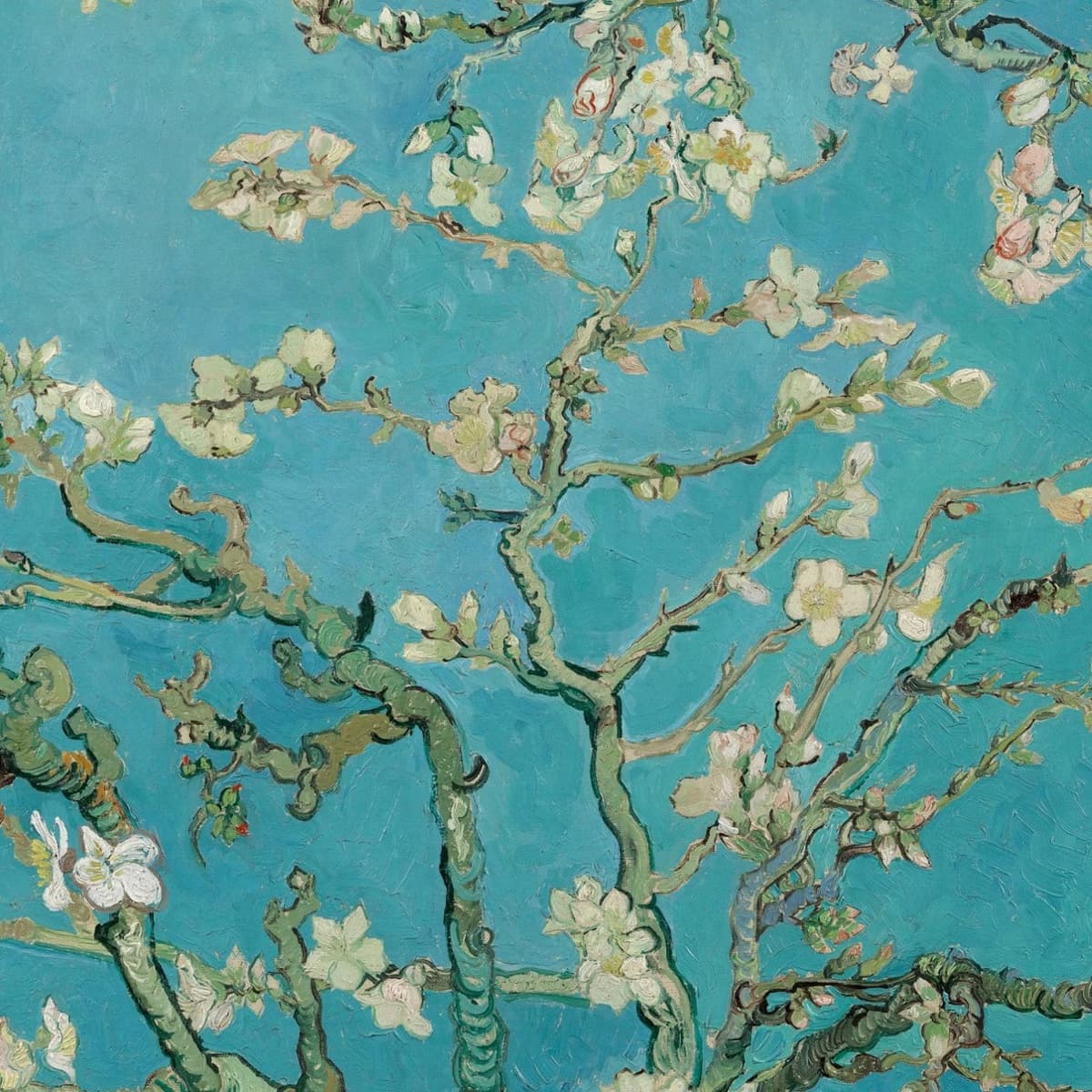 Van Gogh Museum + Amsterdam Canal Cruise Ticket