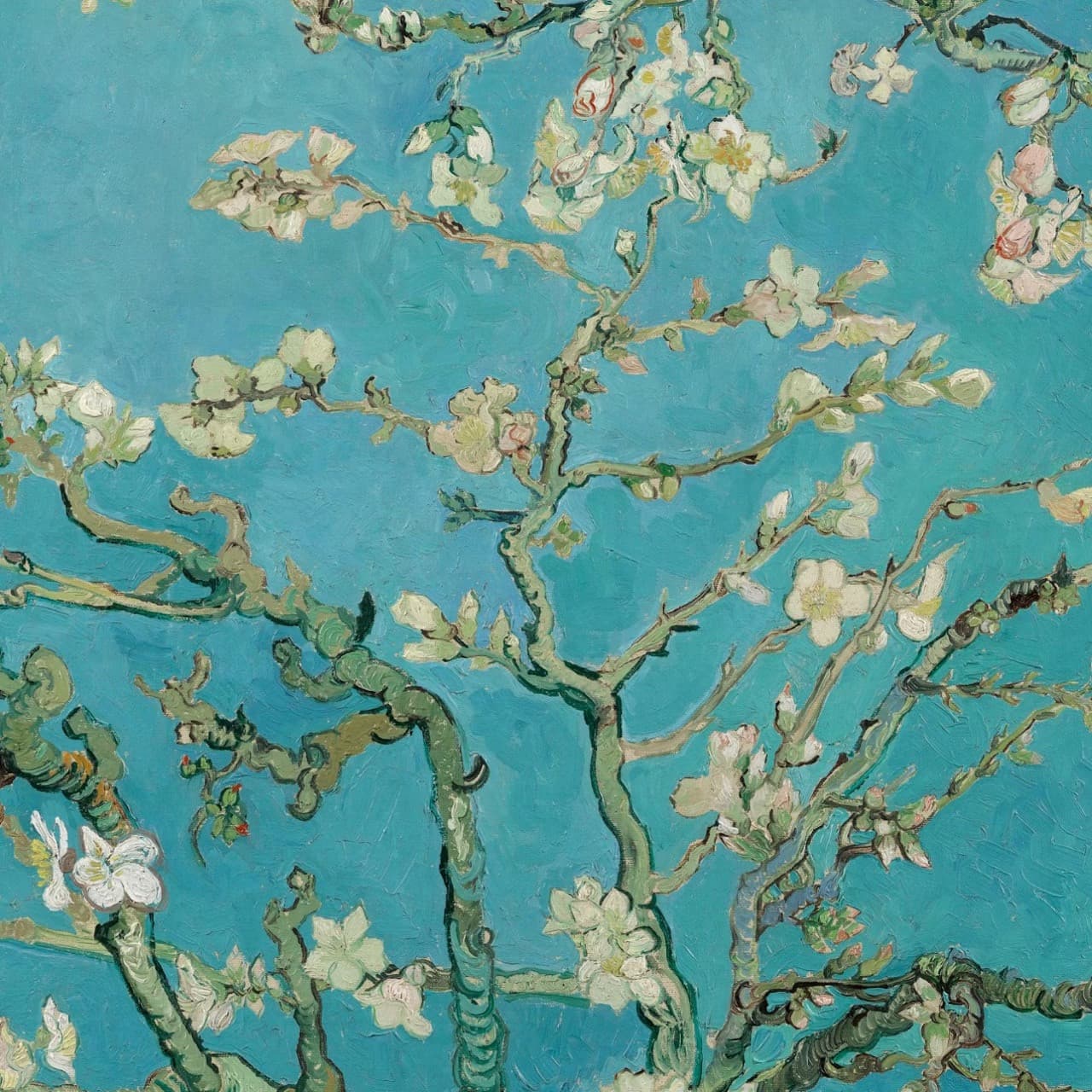 Van Gogh Museum + Amsterdam Canal Cruise Ticket