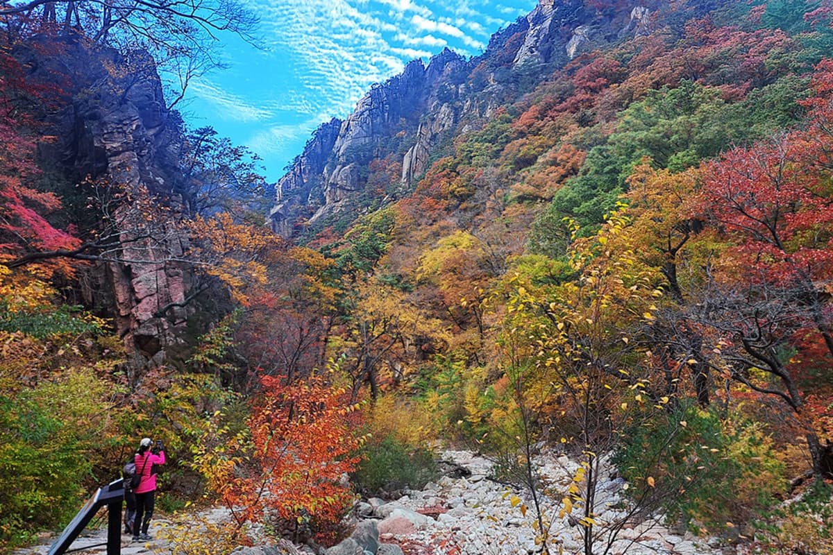 Nami Island and Mount Seorak Full-Day Tour from Seoul