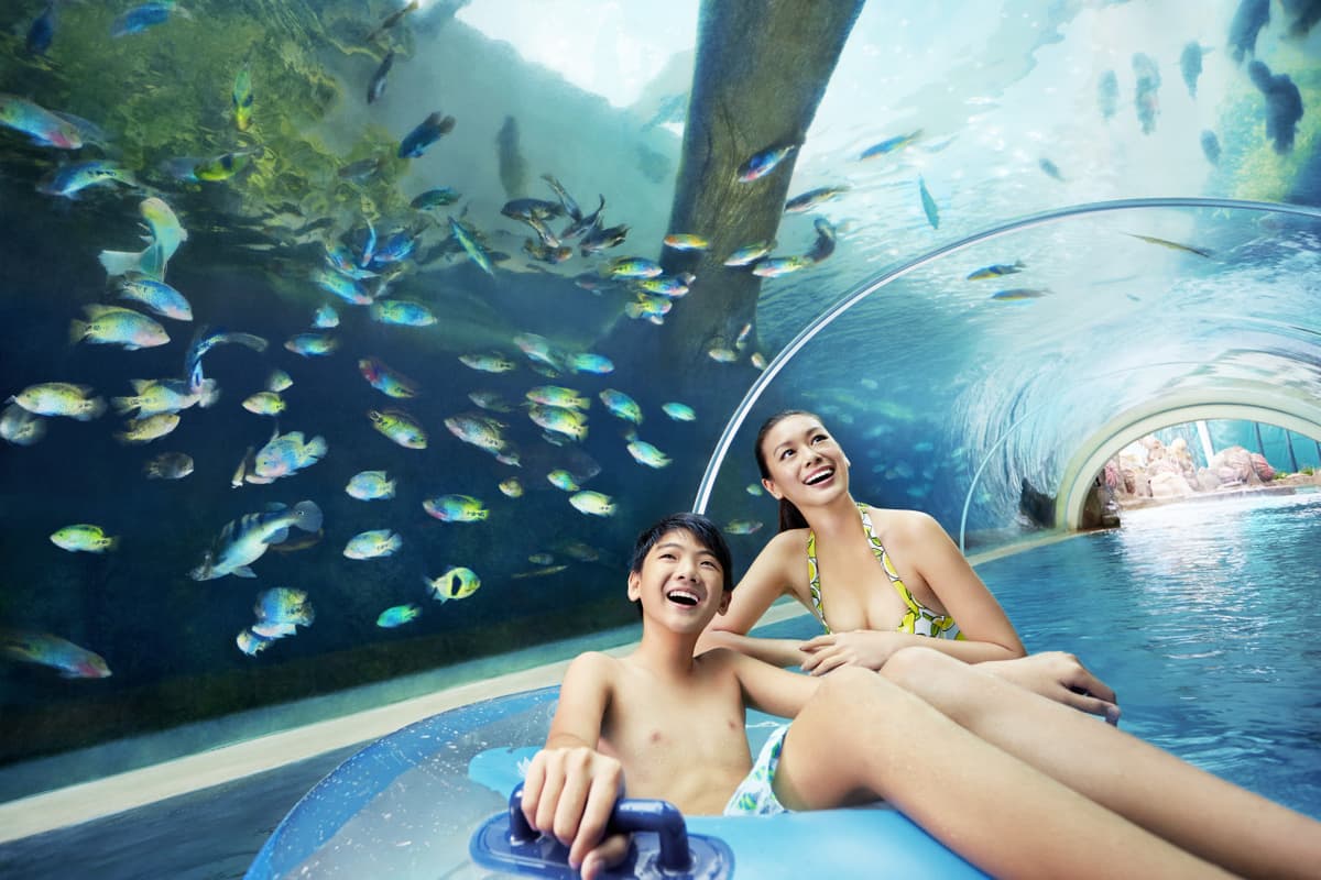 Adventure Cove Waterpark‎ Express Pass