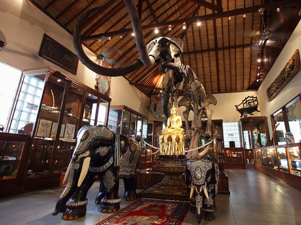 COMBO: Waterbom Bali + Mason Elephant Park Bali Tickets