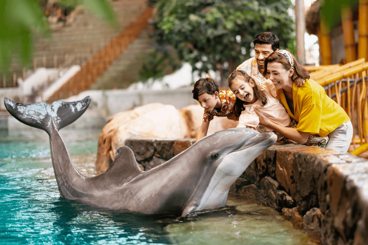 SeaWorld Abu Dhabi Ticket