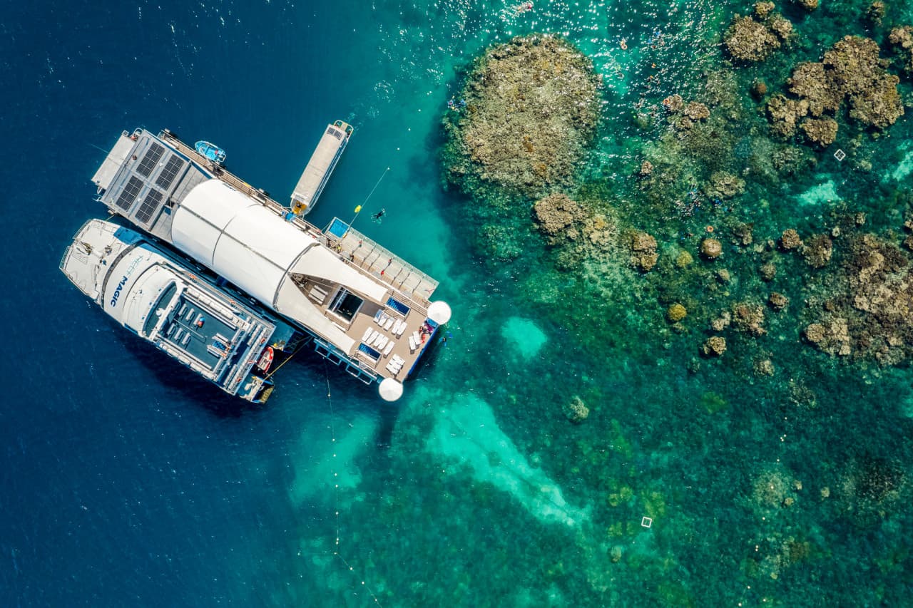 Reef Magic Pontoon Tour from Cairns – photo 7