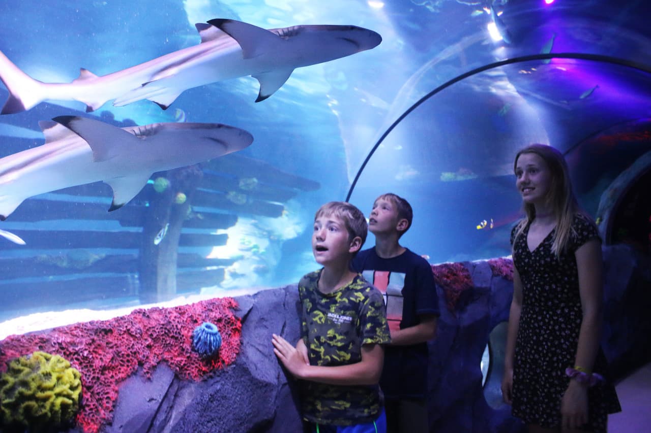 SEA LIFE Konstanz Aquarium Ticket – photo 2