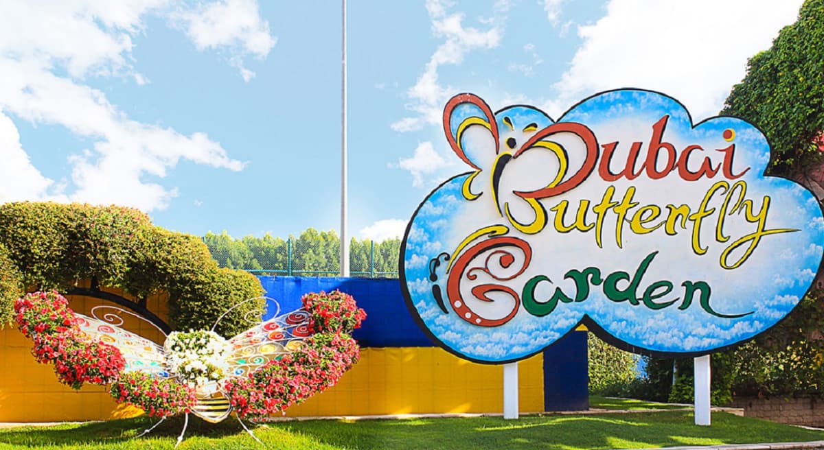 Dubai Butterfly Garden