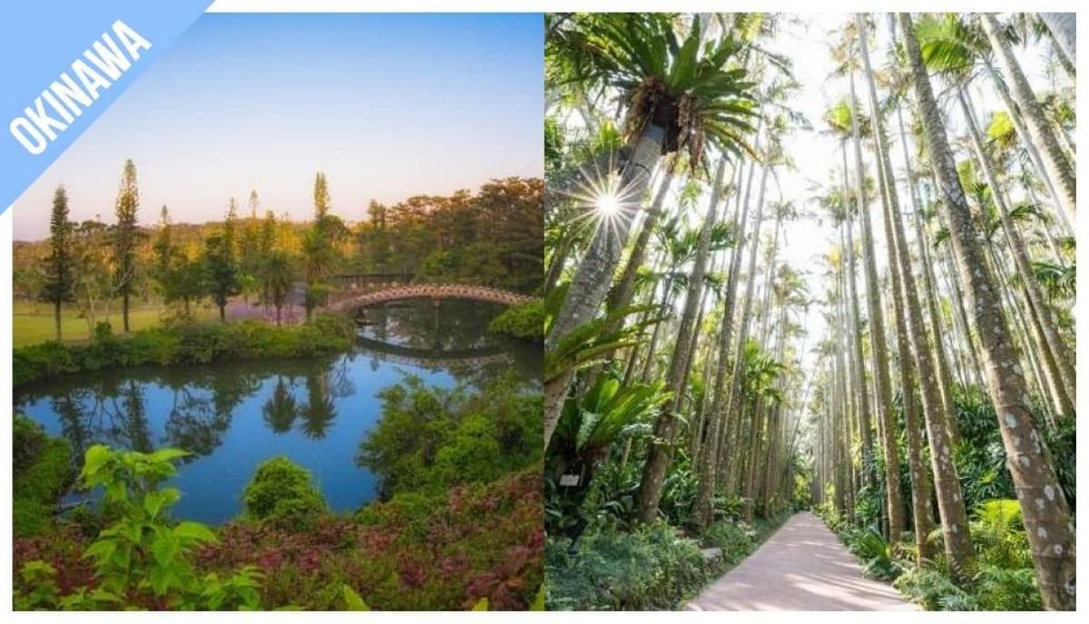 Have Fun in Okinawa Pass - 1 Week Free Pass