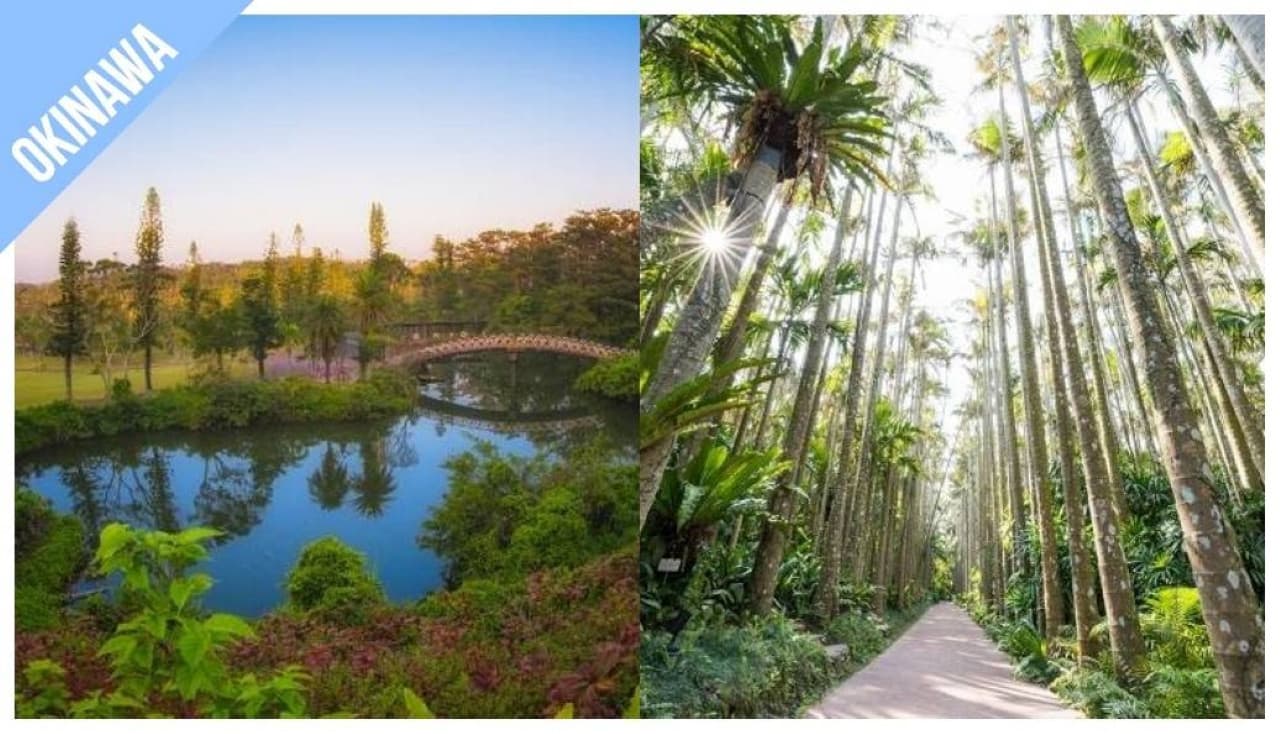 Have Fun in Okinawa Pass - 1 Week Free Pass