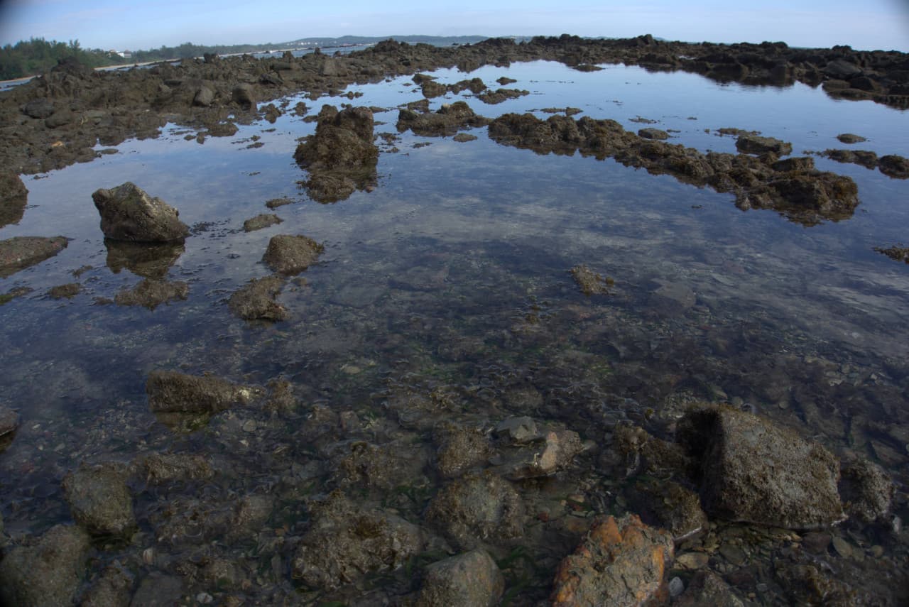 Desaru Beach and Tide Pool Walk – photo 30