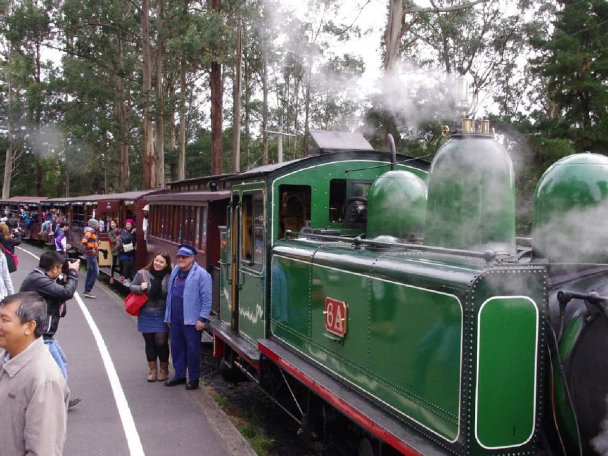 Puffing Billy and Healesville Sanctuary Tour