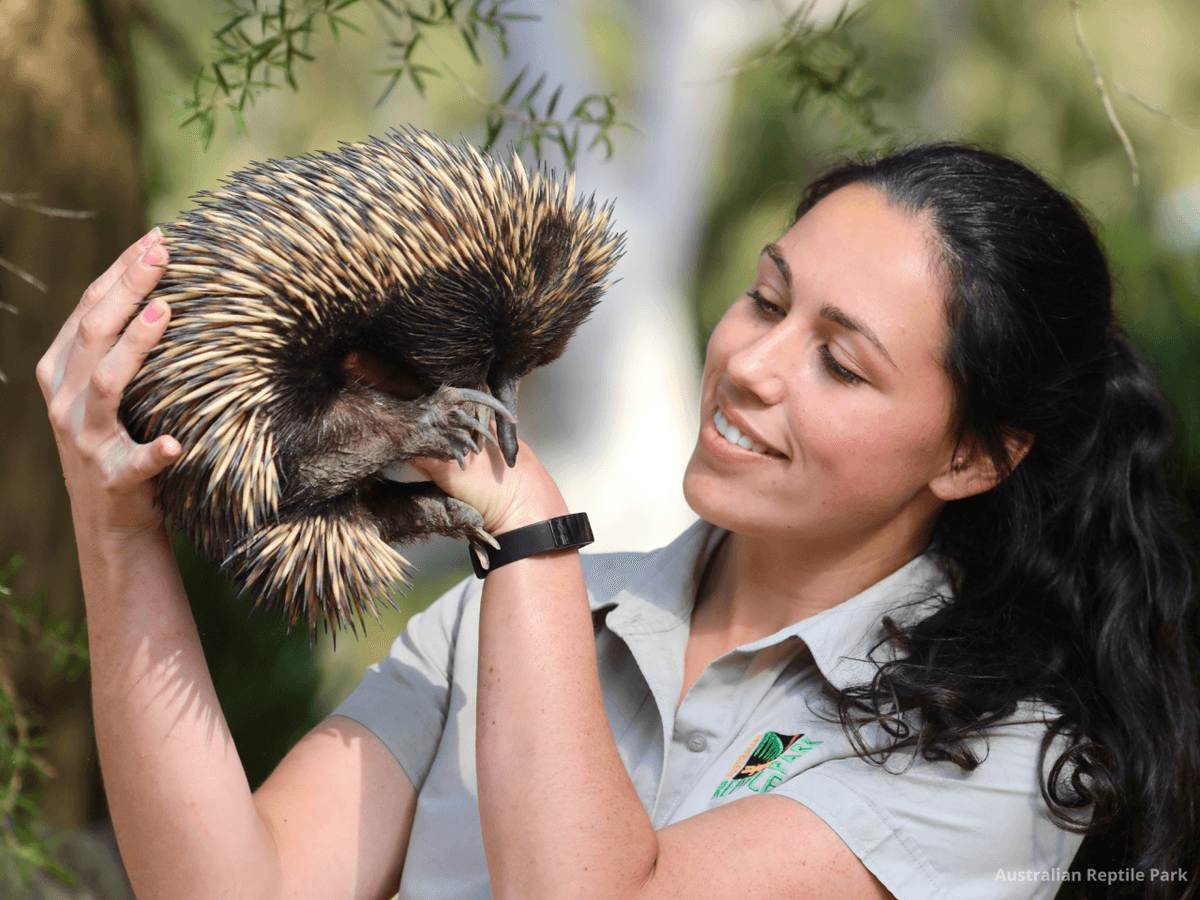 Australian Reptile Park