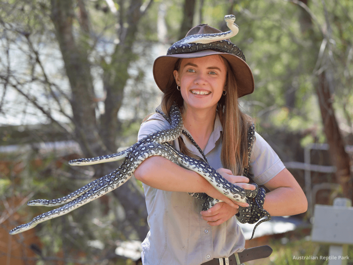 Australian Reptile Park