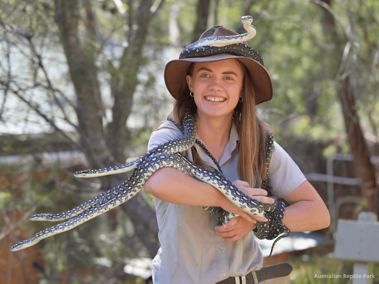 Australian Reptile Park