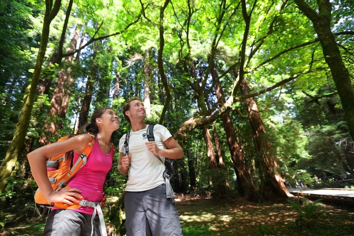 Muir Woods and Sausalito Tour from San Francisco