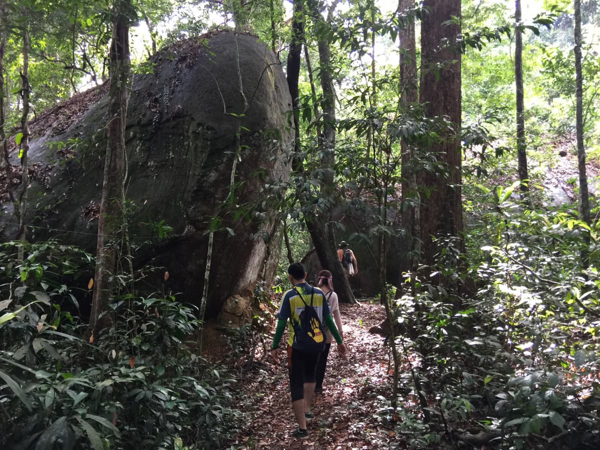 Angkor Temple Trekking Experience