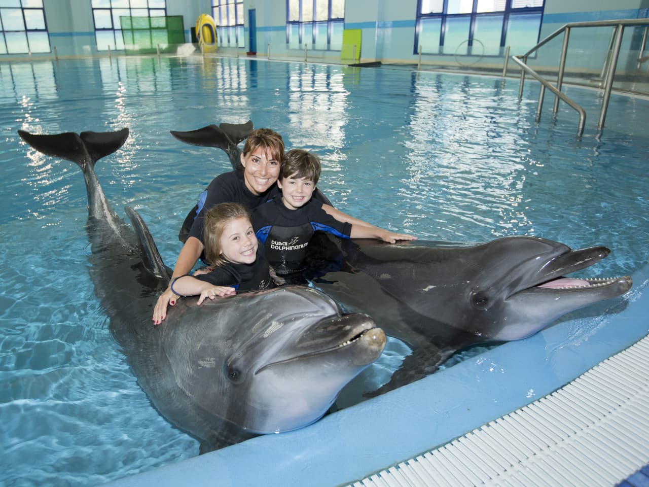 Dubai Dolphinarium Ticket