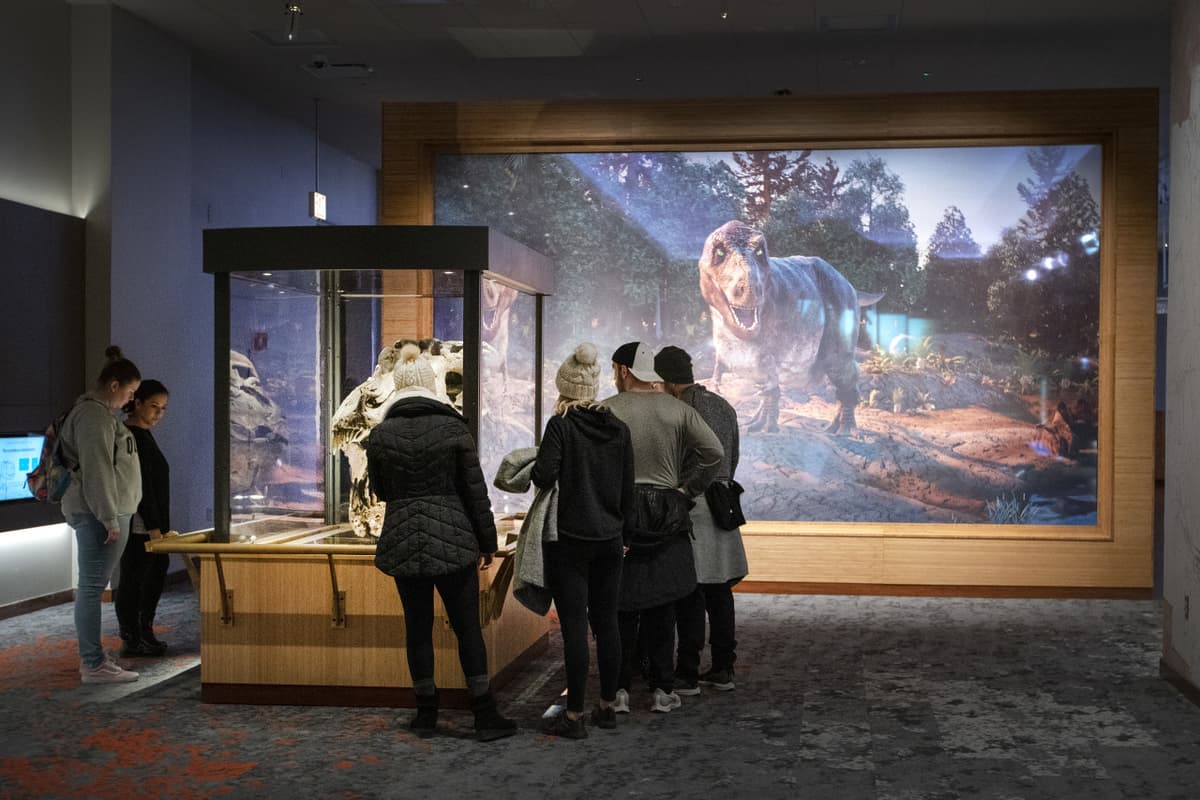Go City Chicago Explorer Pass: Save up to 50% on Attractions
