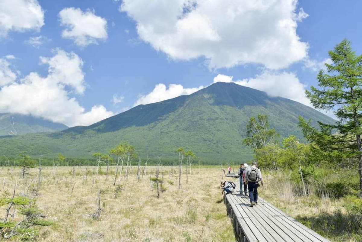 Nikko Pass All Area