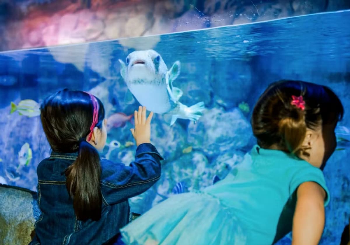 SEA LIFE New Jersey Aquarium Ticket