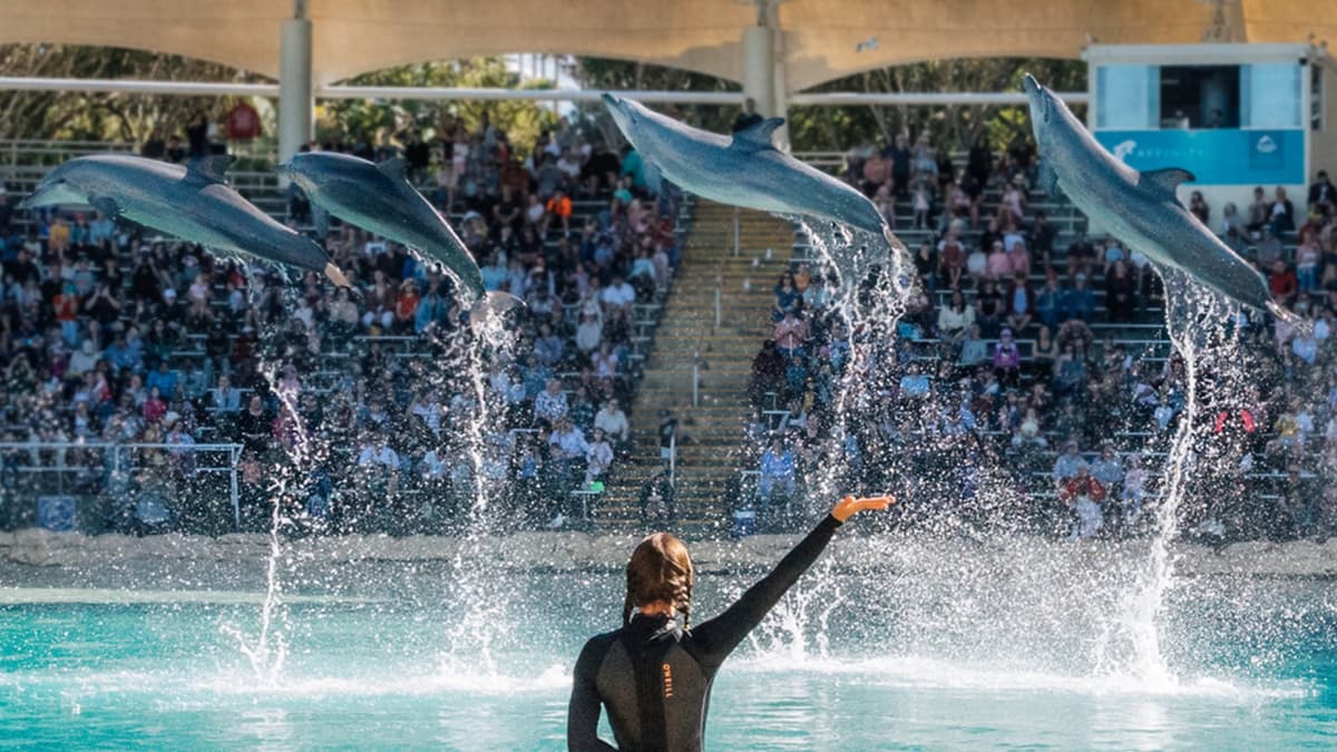 Warner Bros. Movie World, Sea World, and Wet'n'Wild Multiday Pass