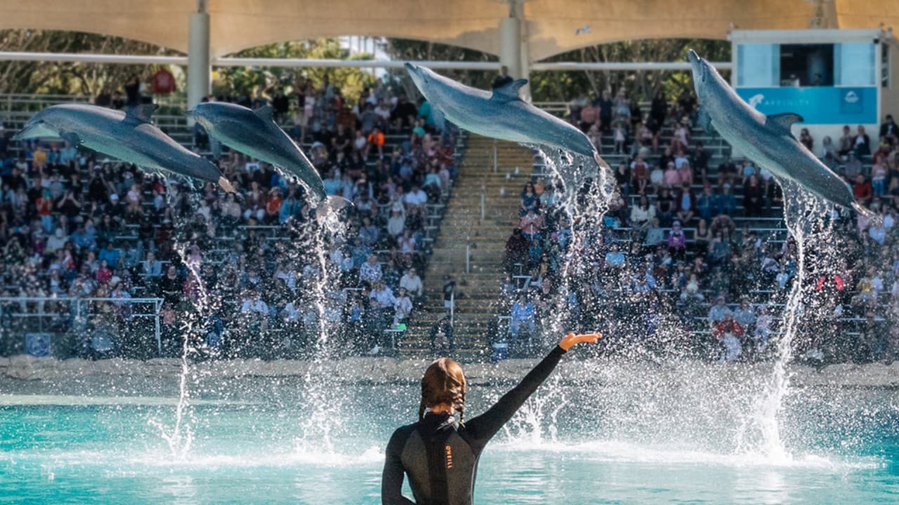 Warner Bros. Movie World, Sea World, and Wet'n'Wild Multiday Pass