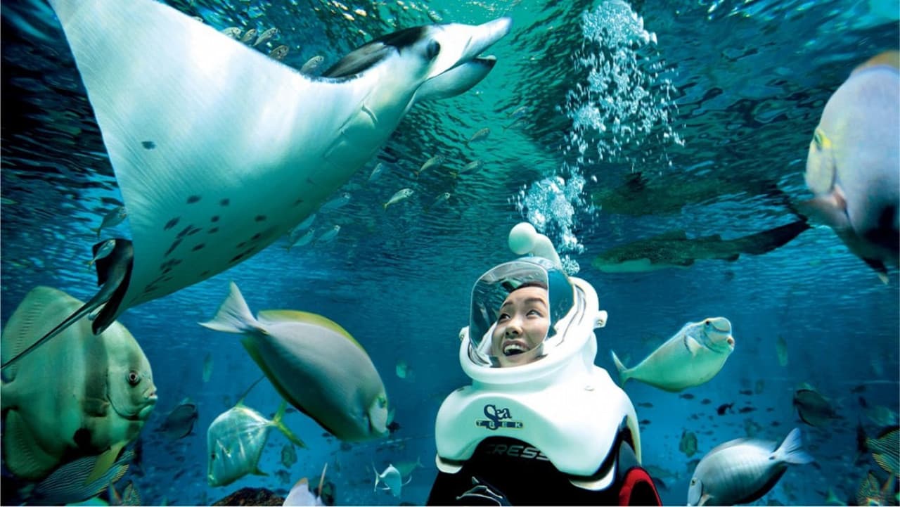 Ultimate Marine Life Experience at Adventure Cove Waterpark – photo 2