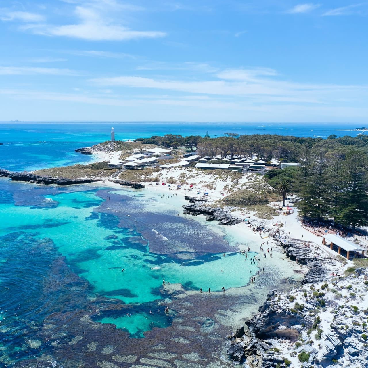 Rottnest Island Bayseeker Bus Tour with Round Trip SeaLink Ferry Transfer – photo 4