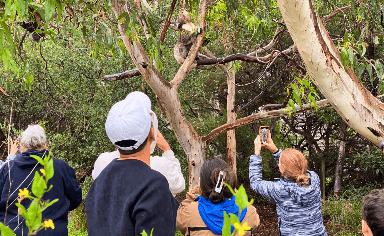 Great Ocean Road Tour from Melbourne – photo 17