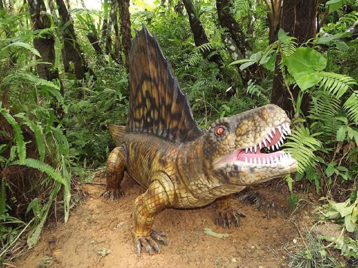 Okinawa Dino Park Yanbaru Subtropical Forest Ticket