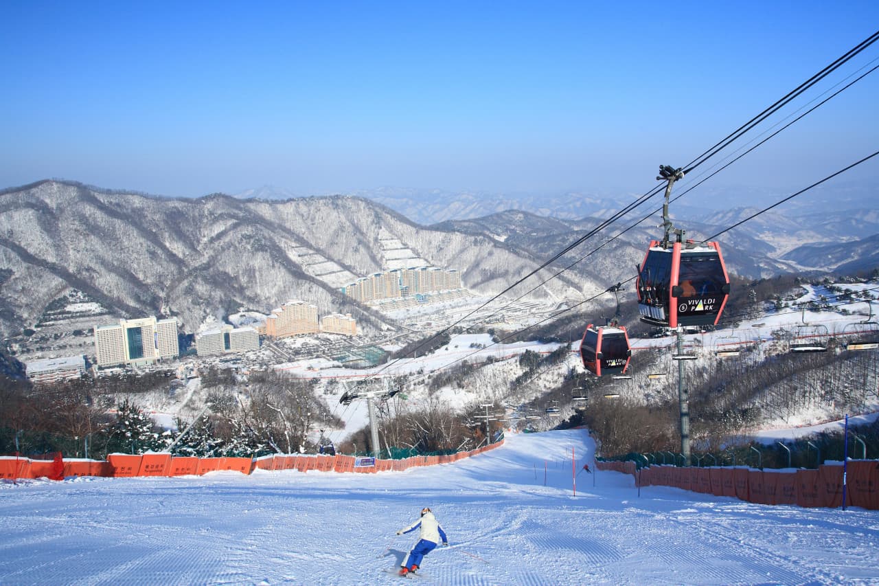 Vivaldi Park Ski World and Nami Island Full-Day Tour from Seoul
