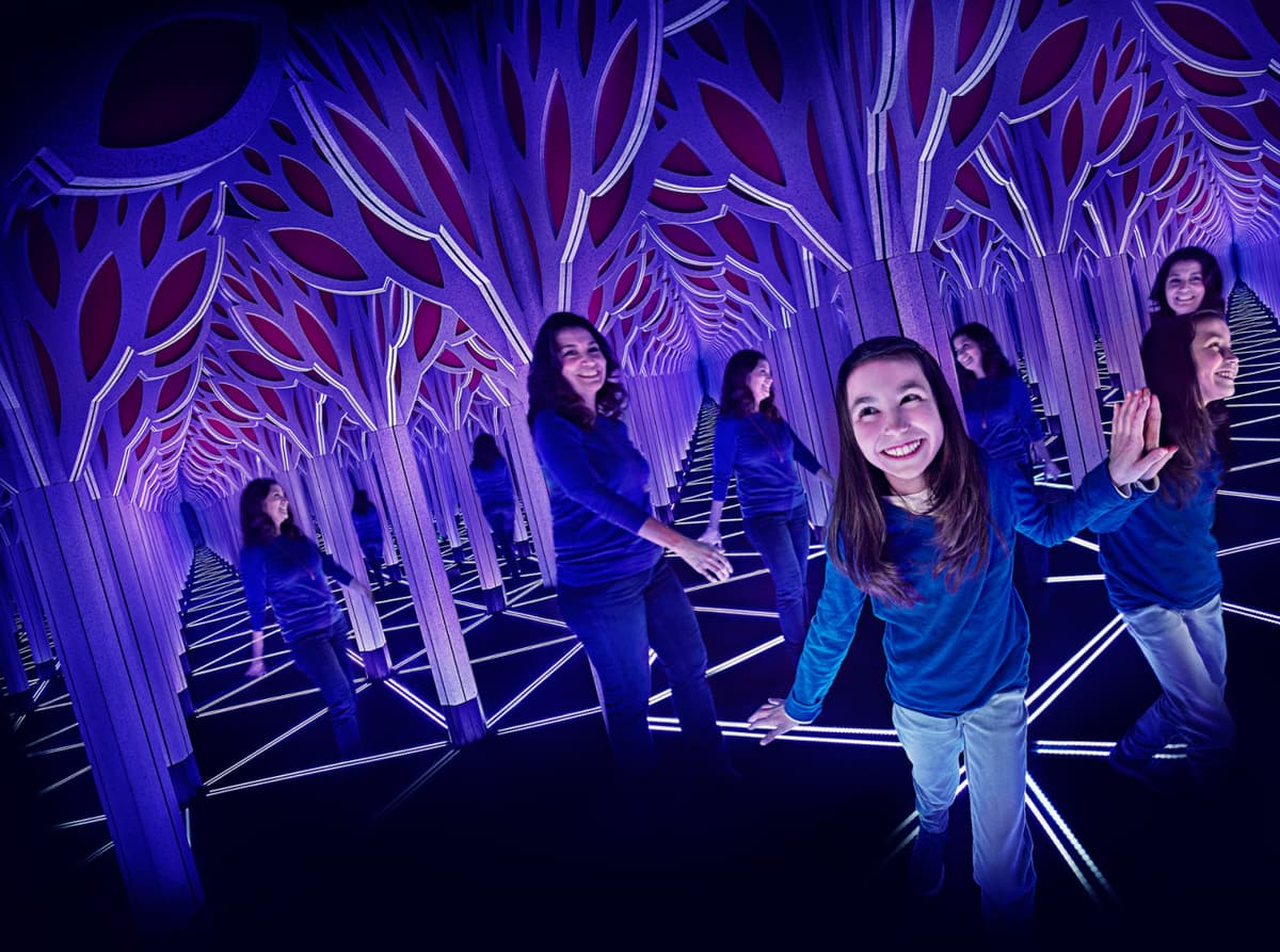 Go City Chicago Explorer Pass: Save up to 50% on Attractions