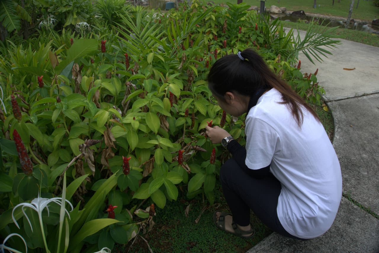 Desaru Riverside Garden Guided Walk
