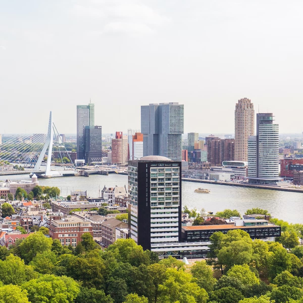 The Hague, Delft, and Rotterdam Full-Day Tour from Amsterdam