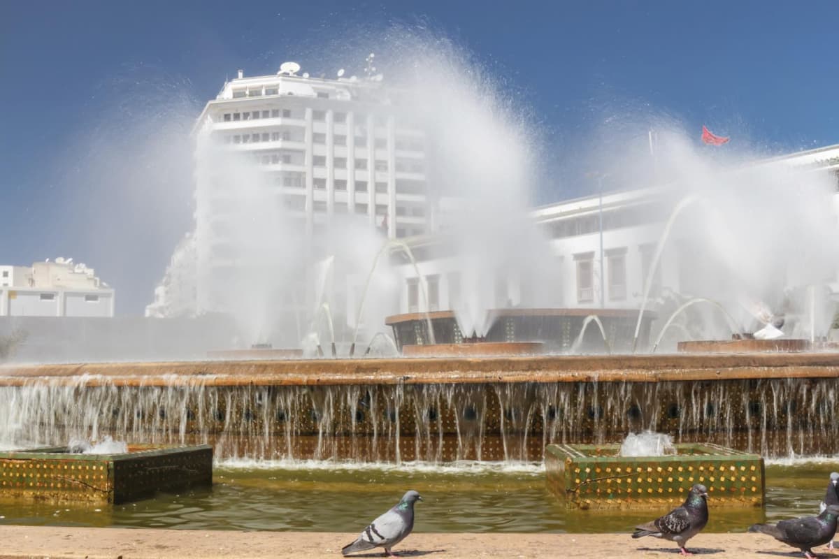 Casablanca Half-Day Tour: United Nations Square, Central Market, Royal Palace, Habbous Quarter