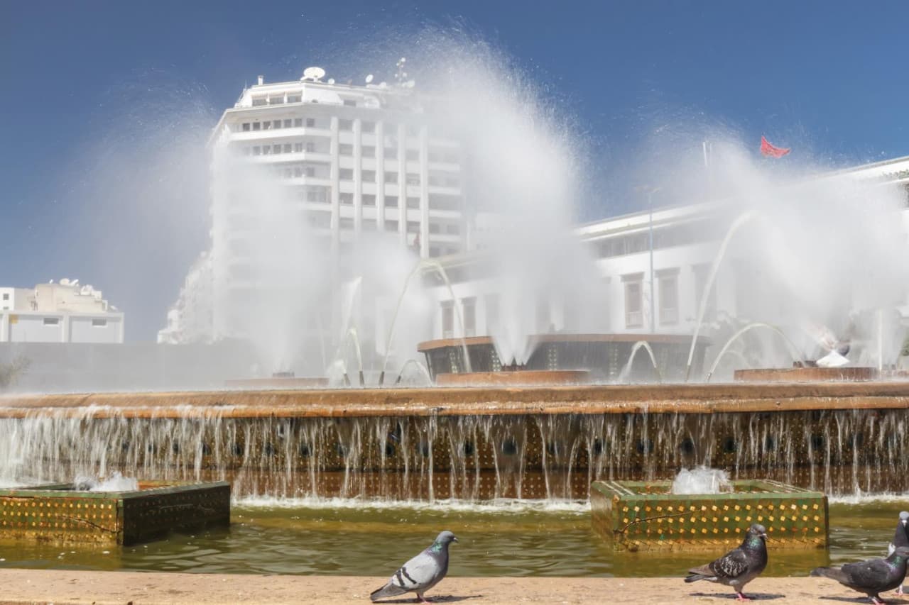 Casablanca Half-Day Tour: United Nations Square, Central Market, Royal Palace, Habbous Quarter
