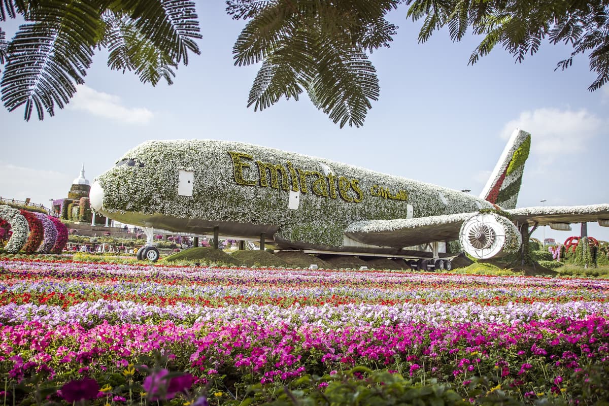 COMBO: Dubai Miracle Garden + Global Village Dubai Tickets