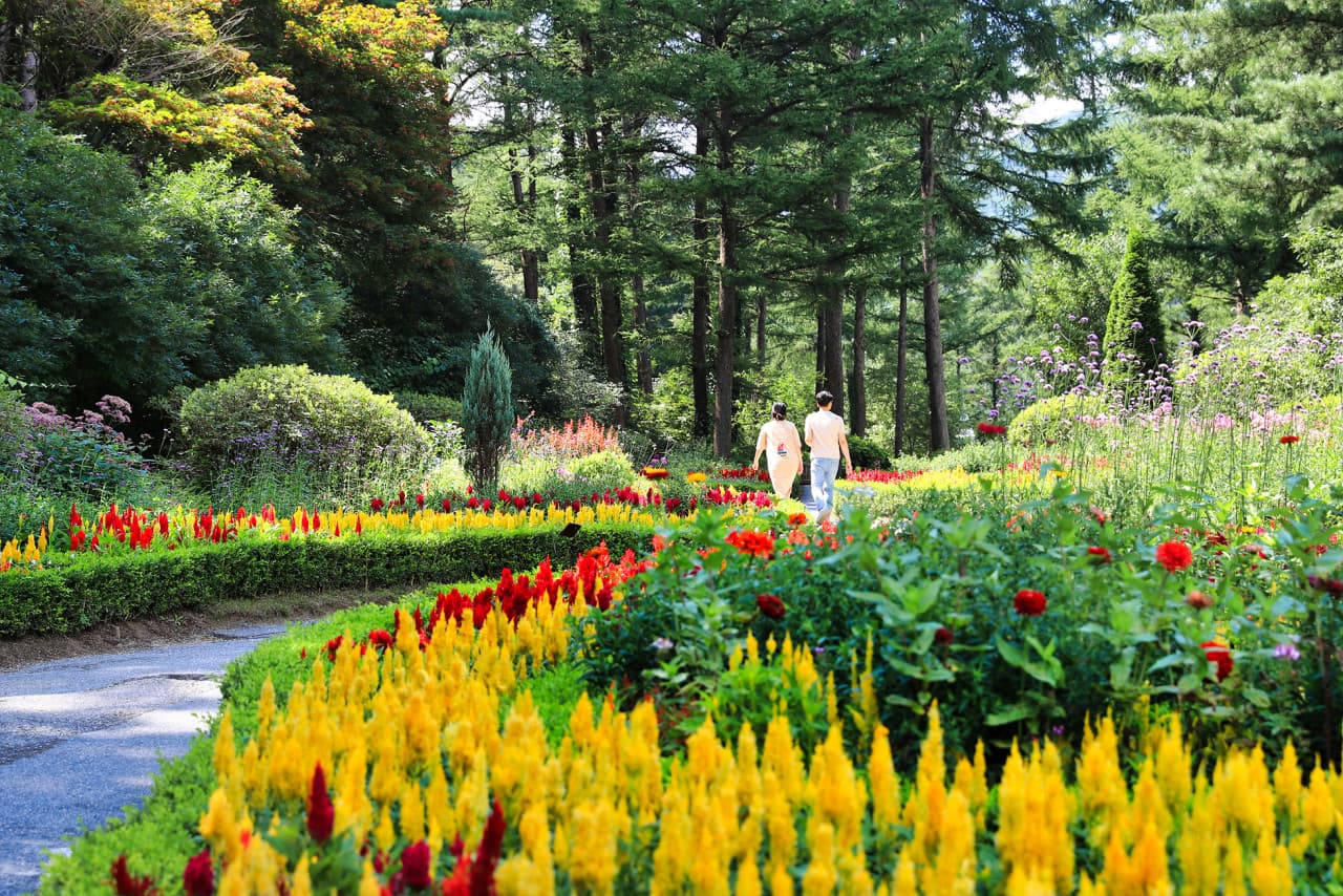 Nami Island, Mount Seorak, and Garden of Morning Calm Full-Day Tour from Seoul – photo 29