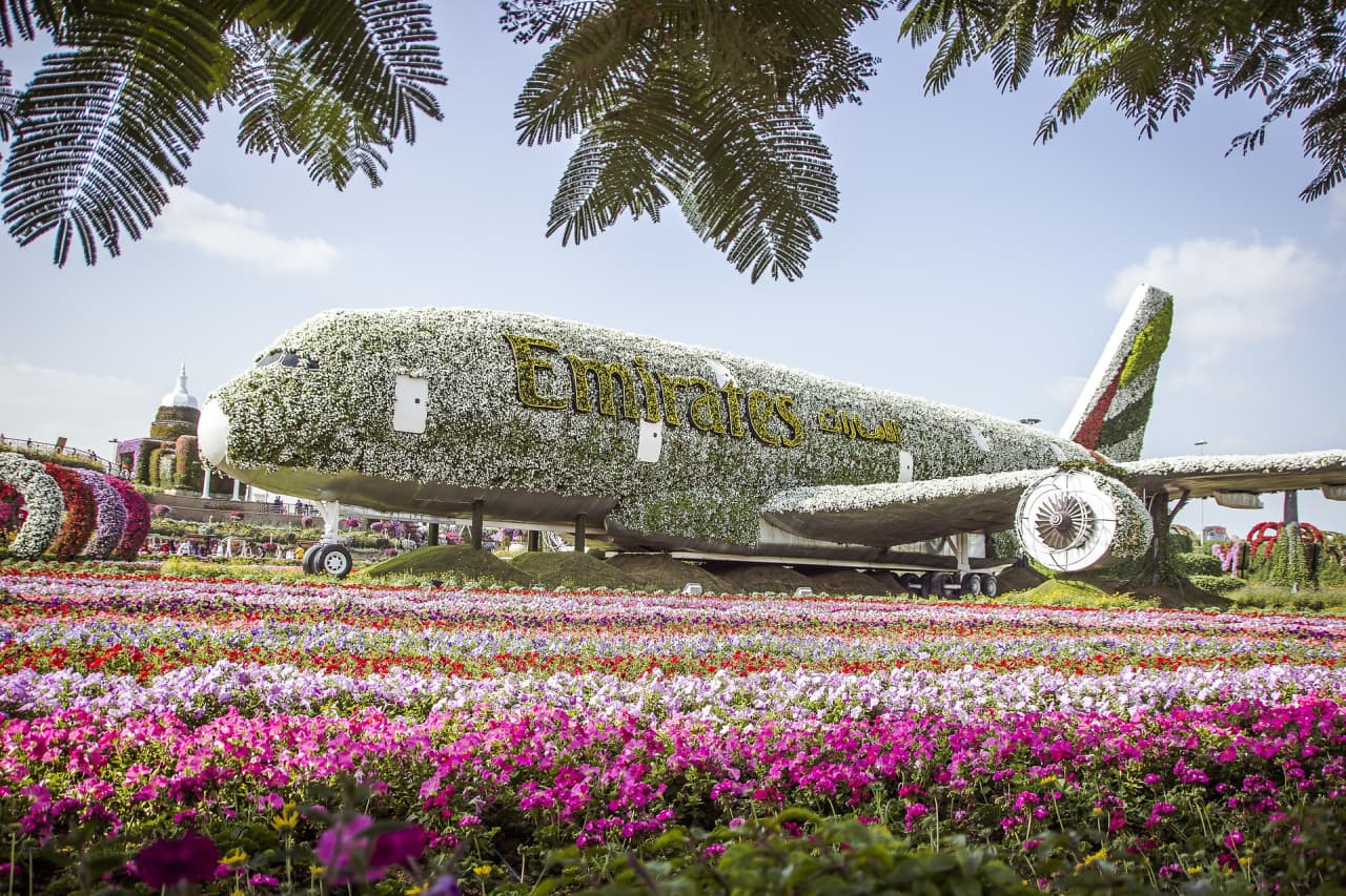 COMBO: Dubai Miracle Garden + Dubai Butterfly Garden Tickets