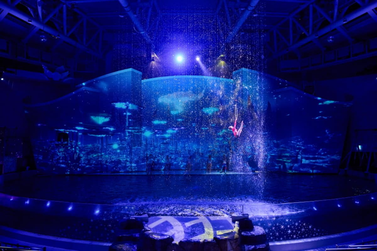 Aqua Planet Jeju Aquarium Ticket