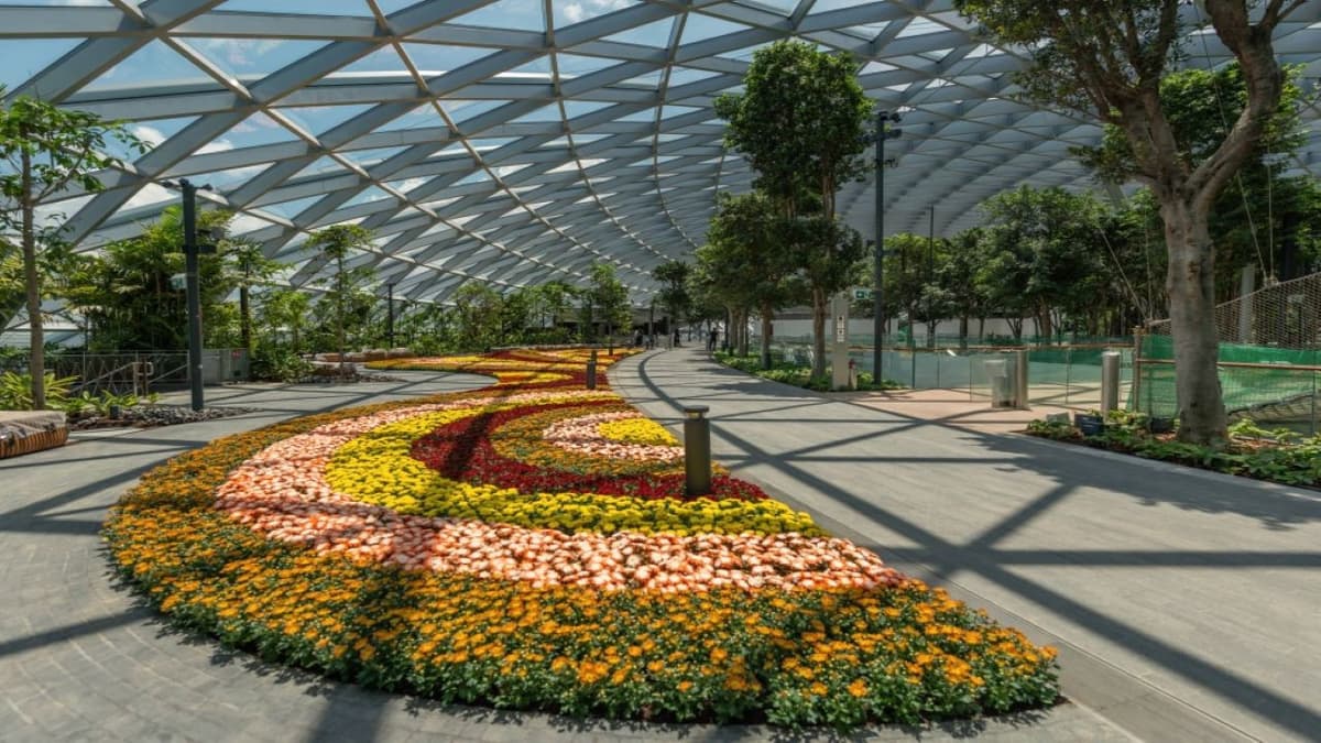 Jewel Changi Airport Attractions