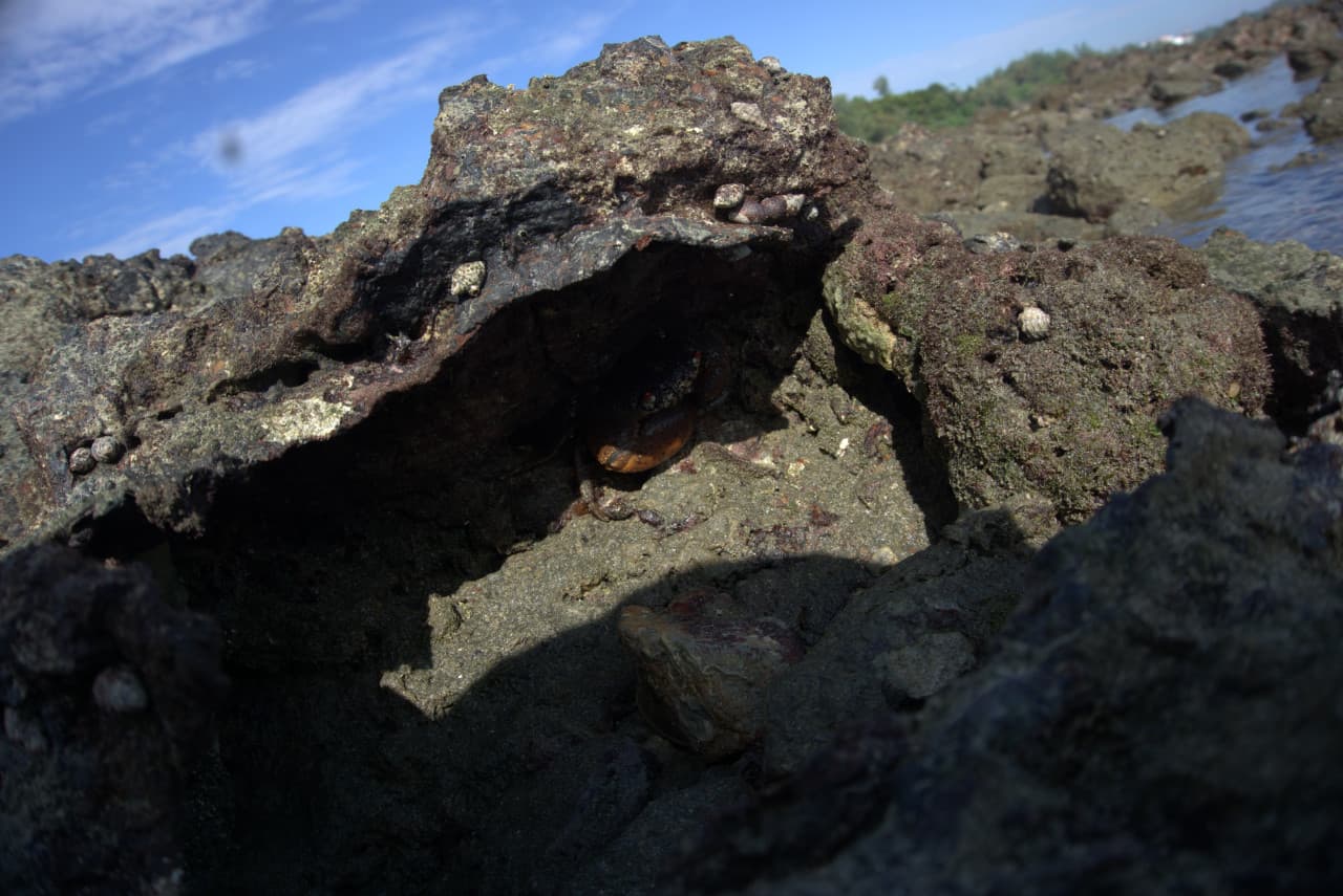 Desaru Beach and Tide Pool Walk – photo 38