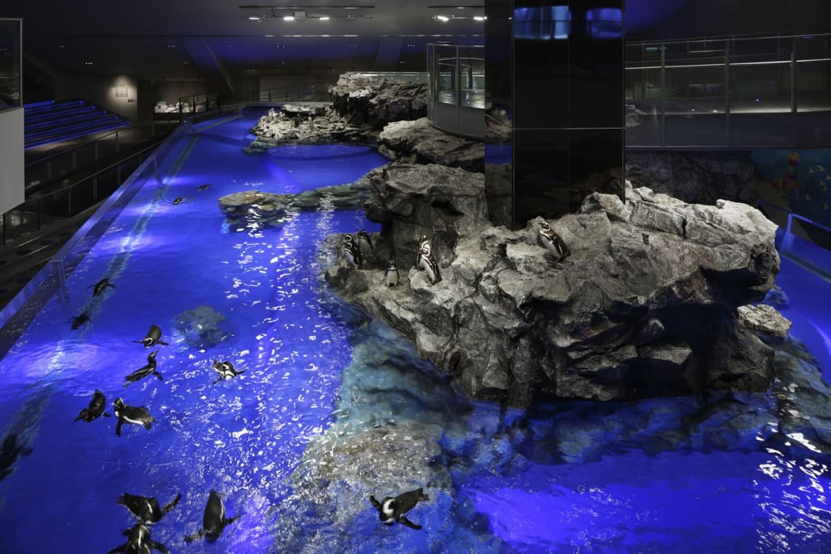 Sumida Aquarium Ticket