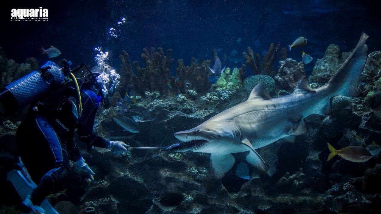 Aquaria KLCC Ticket – photo 4