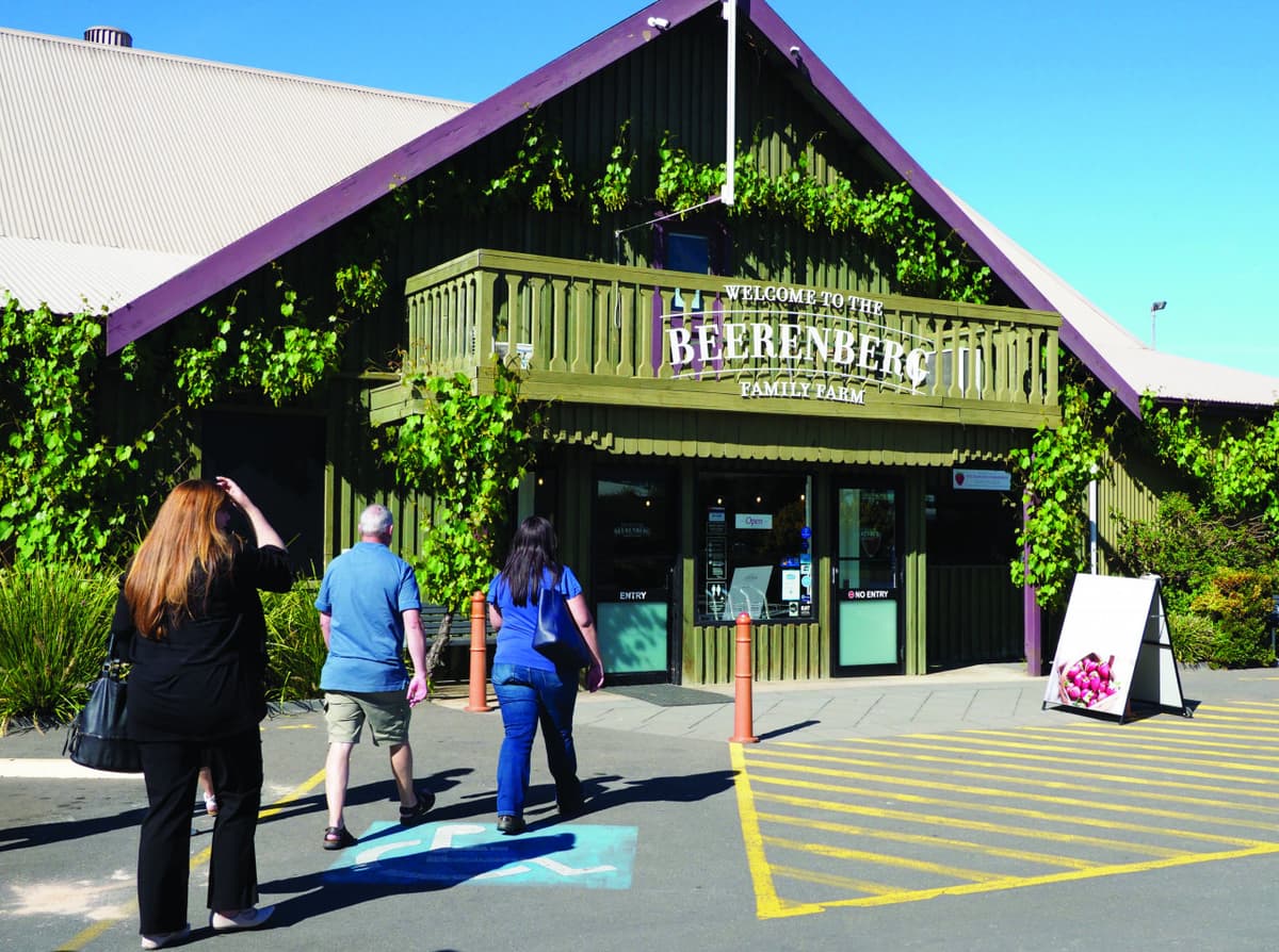Ultimate Adelaide City and Hahndorf Tour