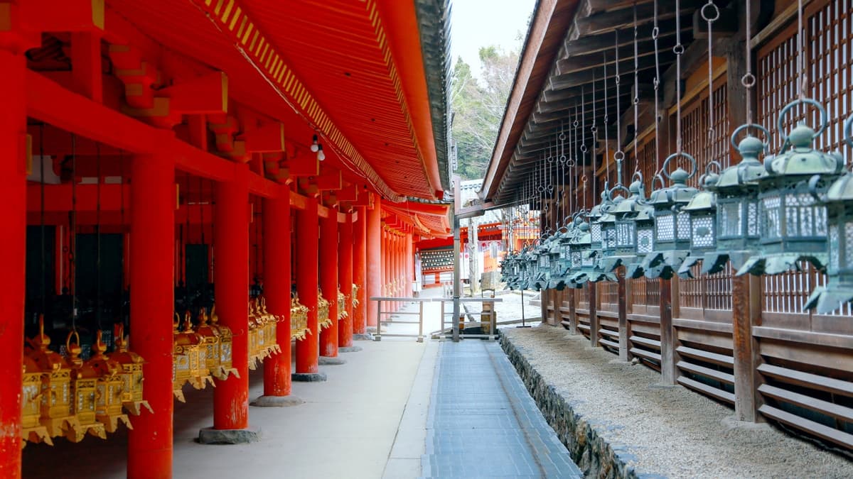 Kyoto and Nara Full-Day Tour from Osaka: Kiyomizudera Area, Fushimi Inari Taisha, Nara Park