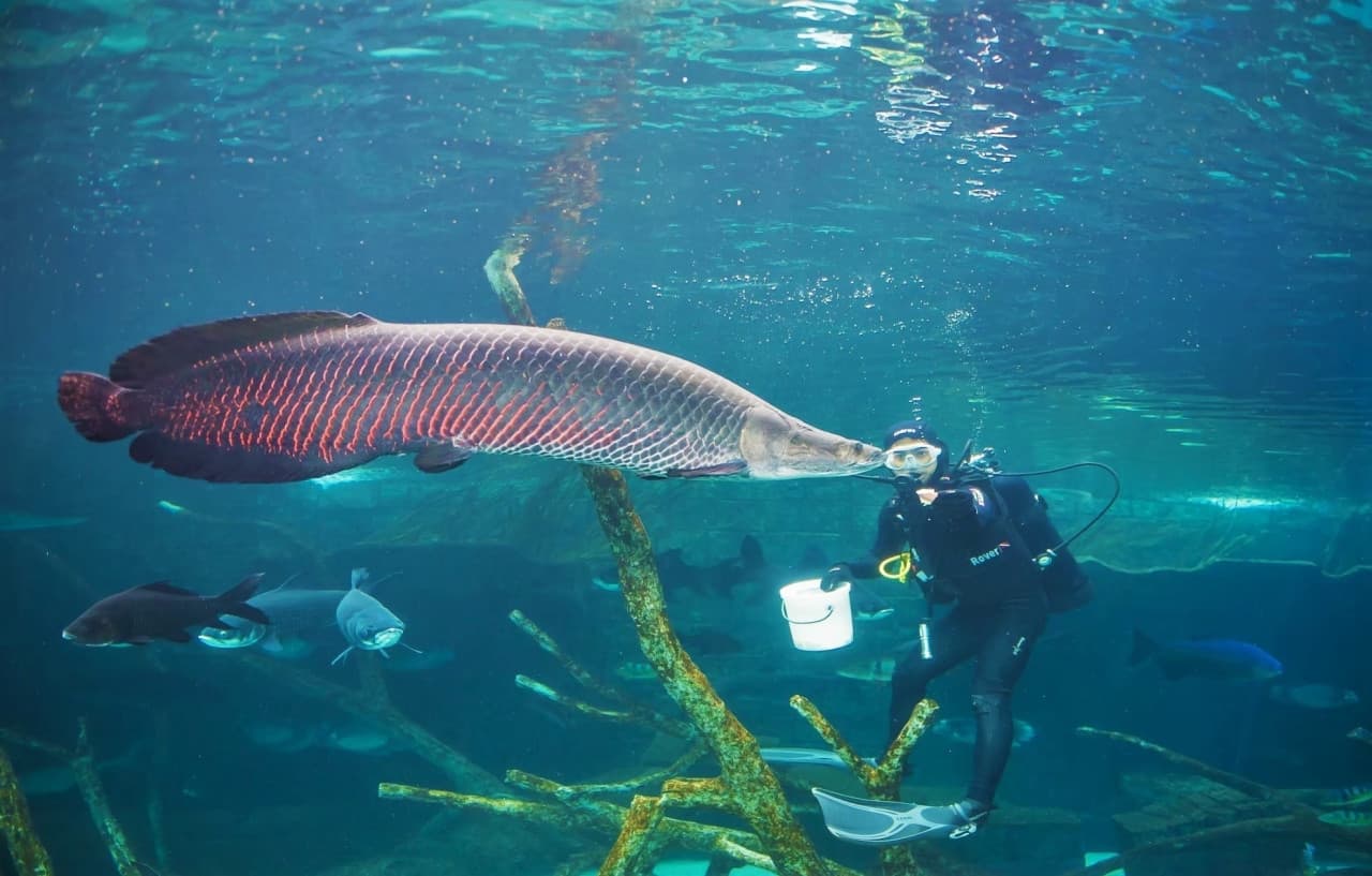 Aquaria Phuket – photo 28