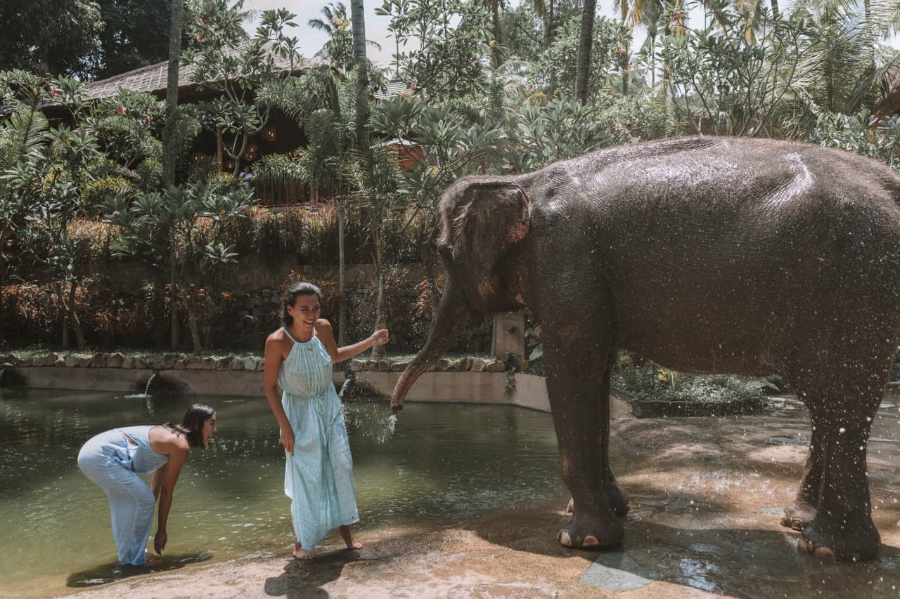Lombok Wildlife Park Elephant Bath Experience