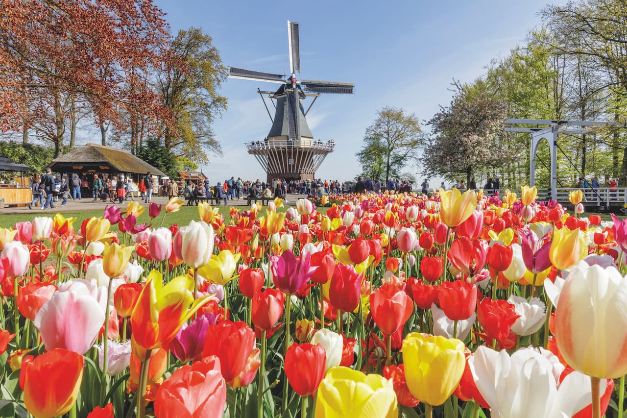 Go City Amsterdam Explorer Pass: Save up to 50% on Attractions – photo 29