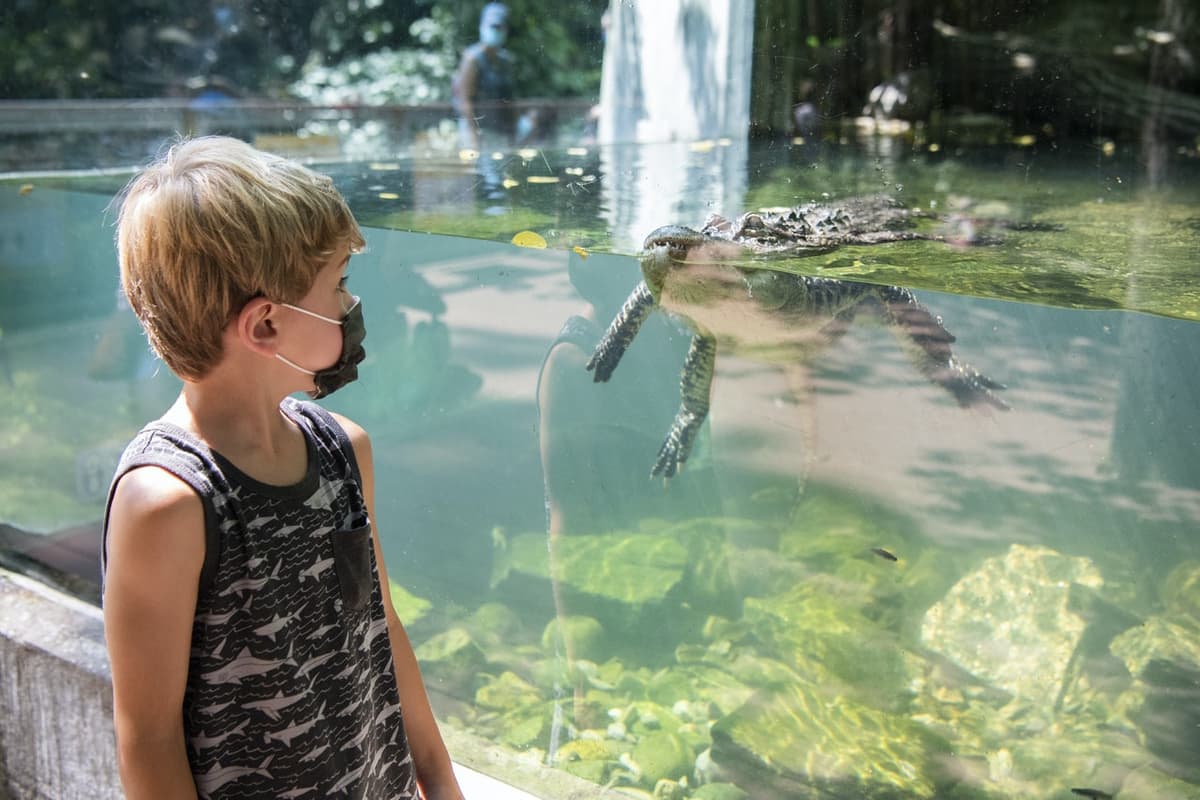 Bronx Zoo